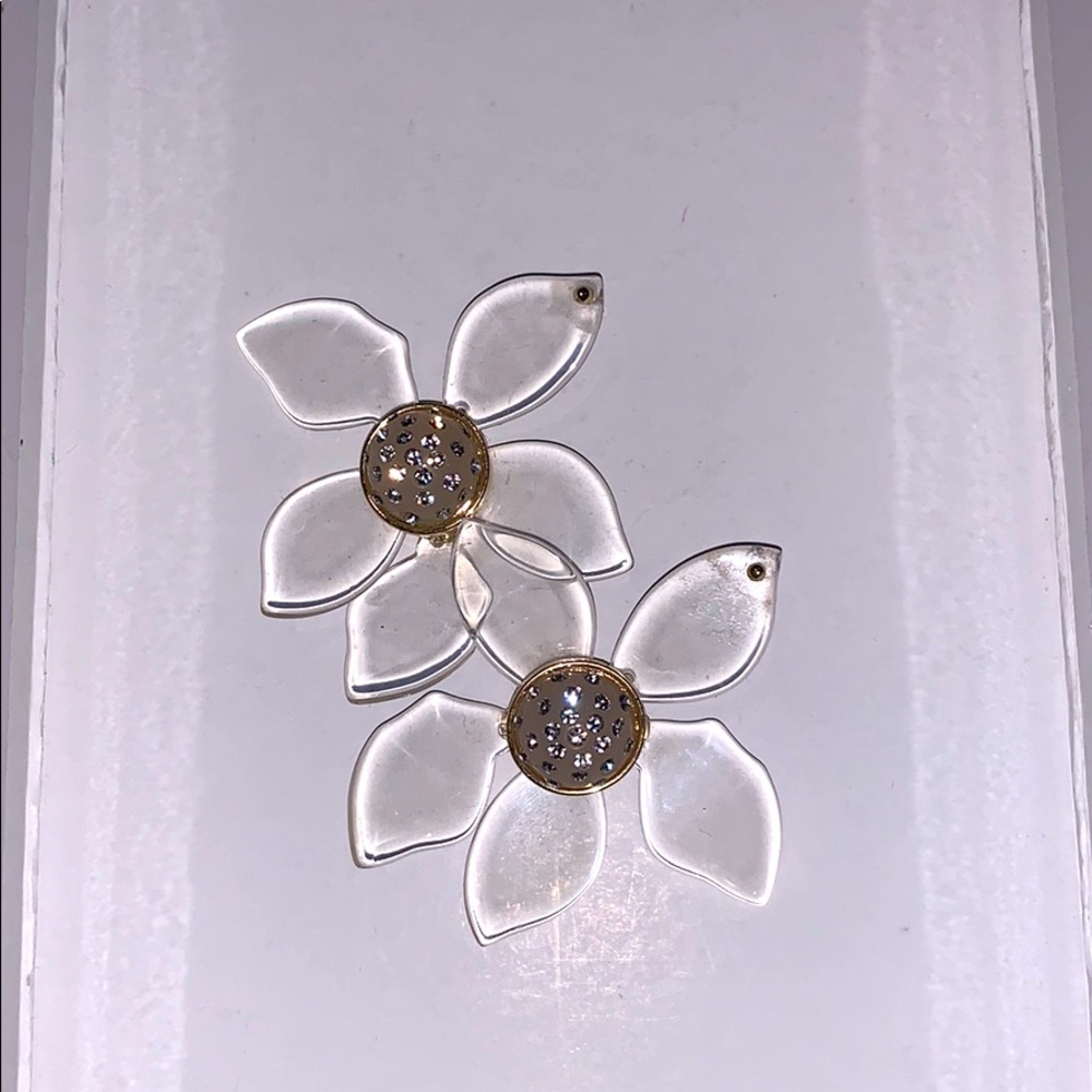 BaubleBar clear lucite earnings